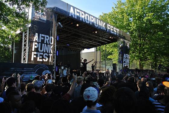 Photo of Afropunk Festival