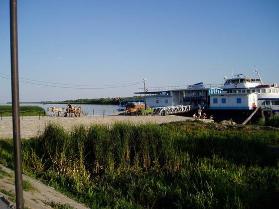 View of Sfântu Gheorghe branch