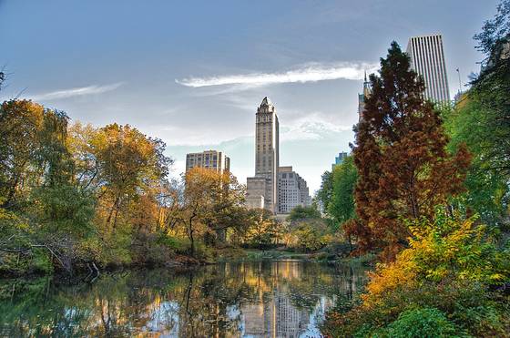 View of Central Park