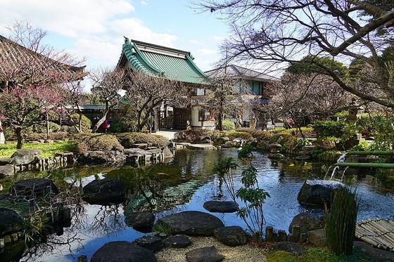 View of Kamakura
