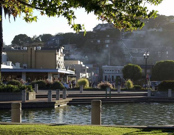 View of Tiburon