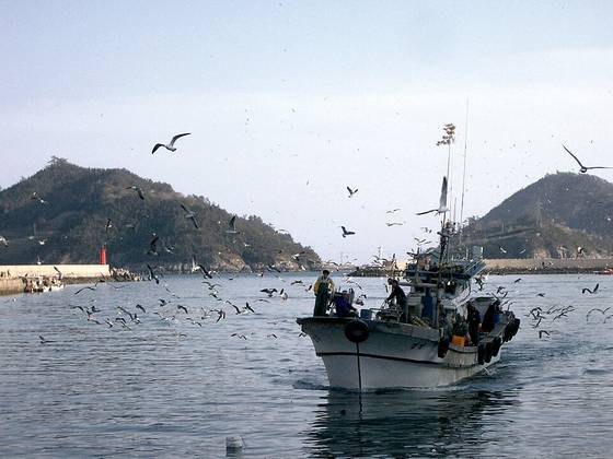 View of Ttangkkeut