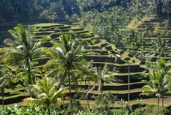 View of Bali