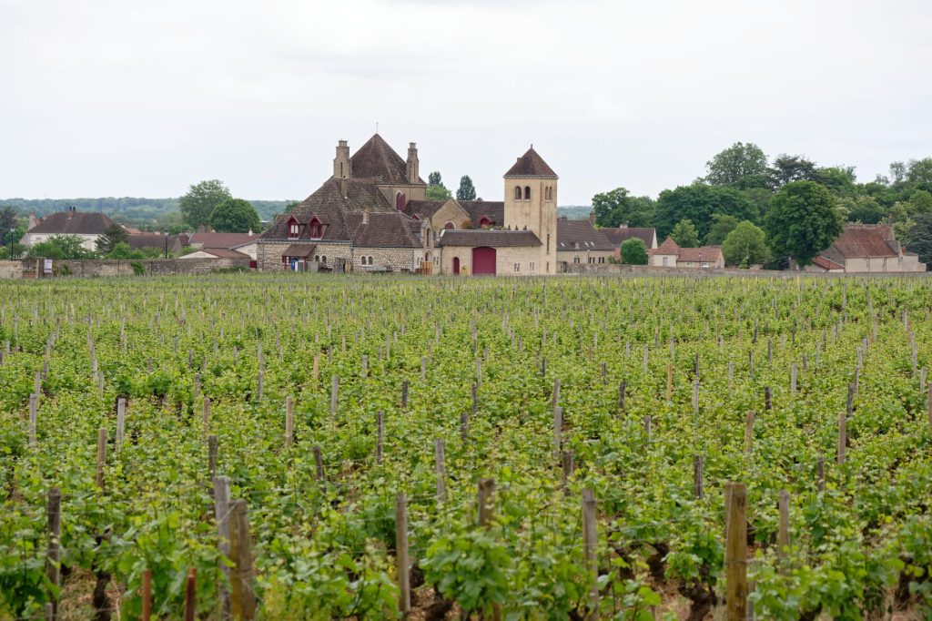 Activités de plein air en Champagne pour un week-end en nature
