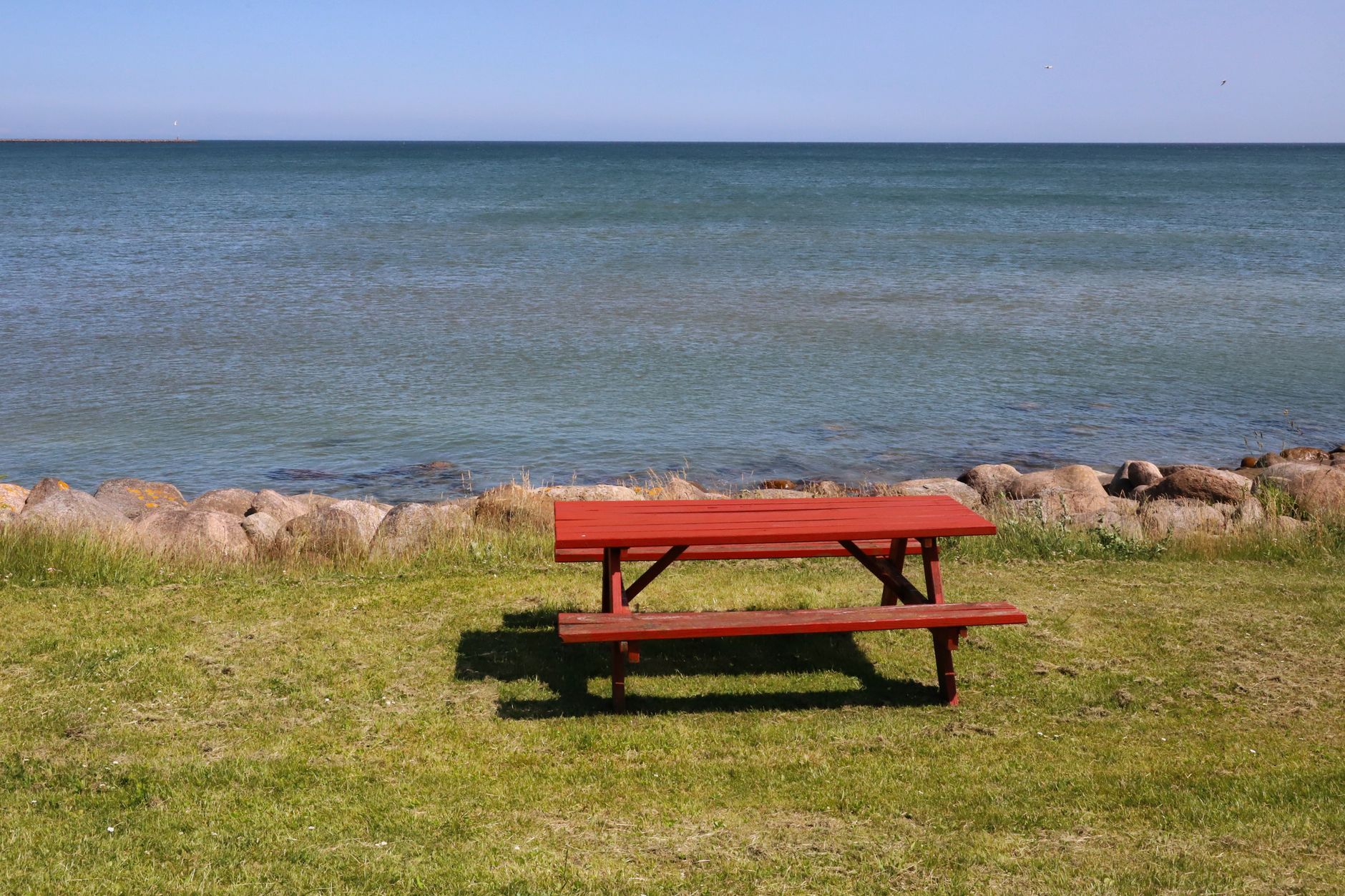 Plages et parcs pour pique-nique près de chez moi